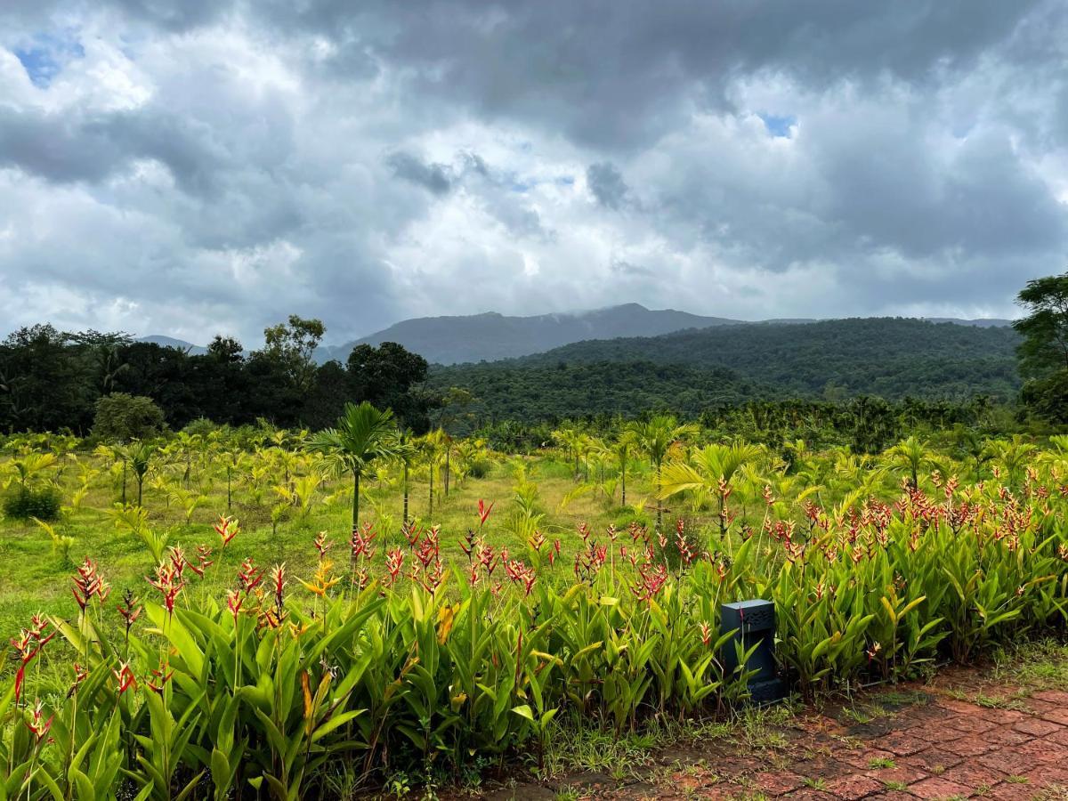 The Postcard Hideaway, Netravali Wildlife Sanctuary, Goa Ξενοδοχείο Vichondrem Εξωτερικό φωτογραφία