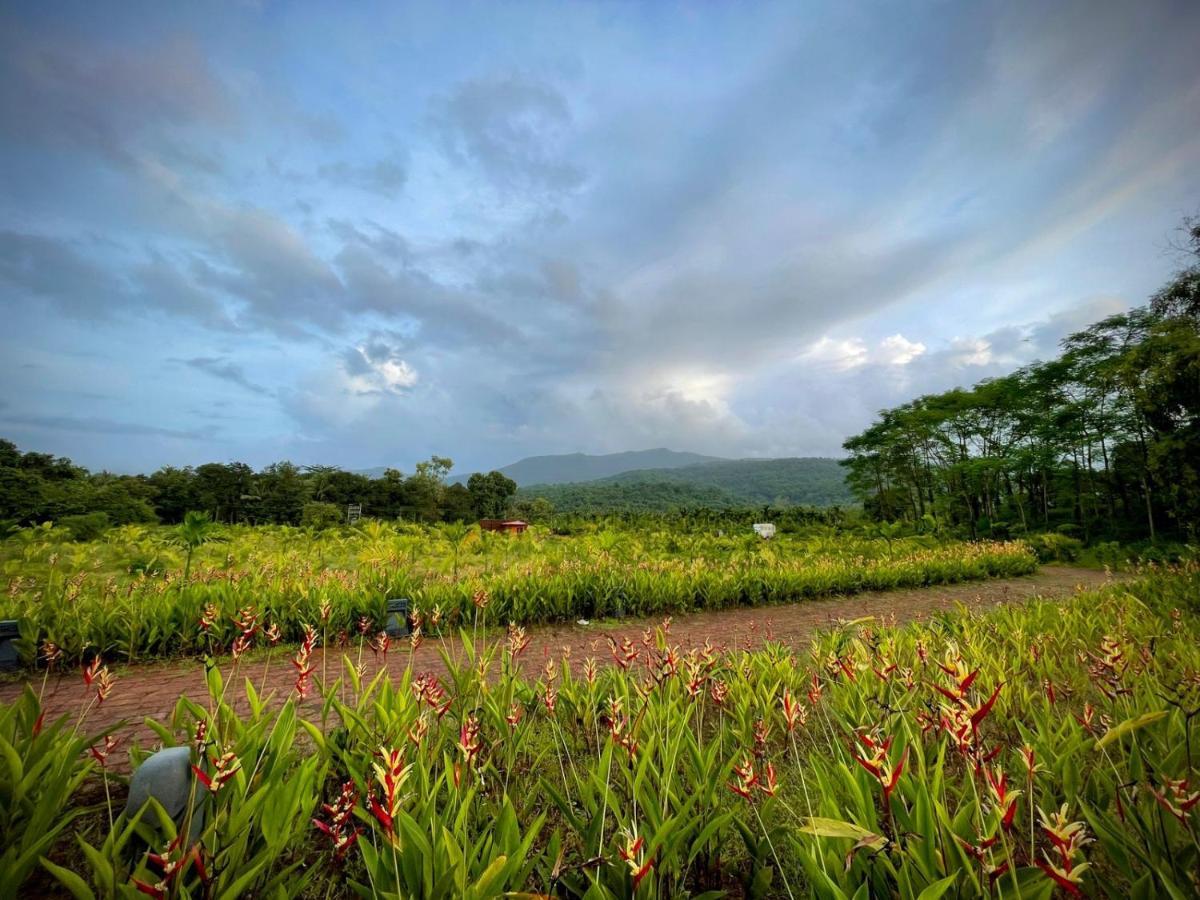 The Postcard Hideaway, Netravali Wildlife Sanctuary, Goa Ξενοδοχείο Vichondrem Εξωτερικό φωτογραφία