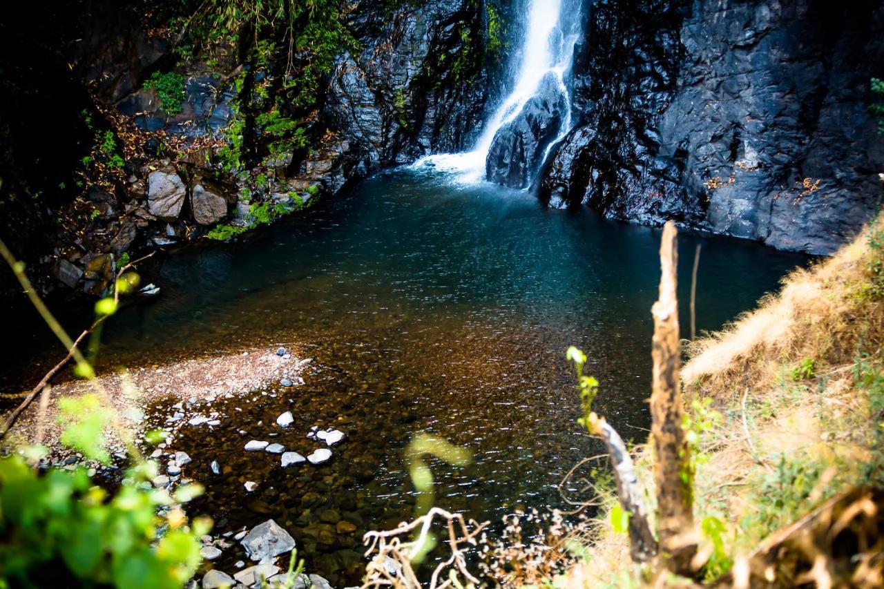 The Postcard Hideaway, Netravali Wildlife Sanctuary, Goa Ξενοδοχείο Vichondrem Εξωτερικό φωτογραφία
