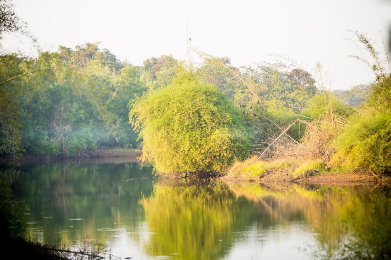 The Postcard Hideaway, Netravali Wildlife Sanctuary, Goa Ξενοδοχείο Vichondrem Εξωτερικό φωτογραφία
