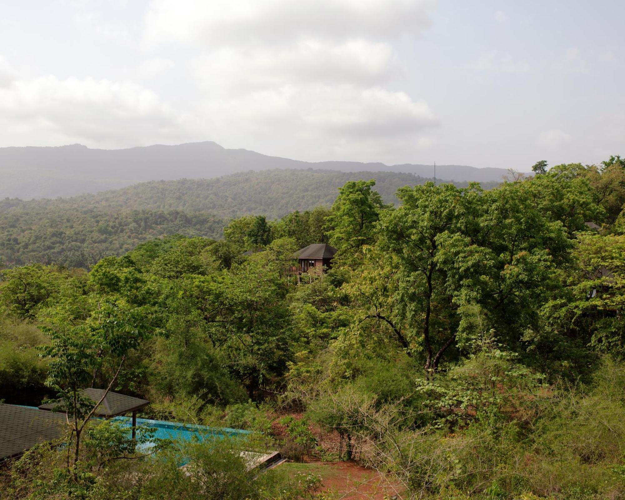 The Postcard Hideaway, Netravali Wildlife Sanctuary, Goa Ξενοδοχείο Vichondrem Εξωτερικό φωτογραφία