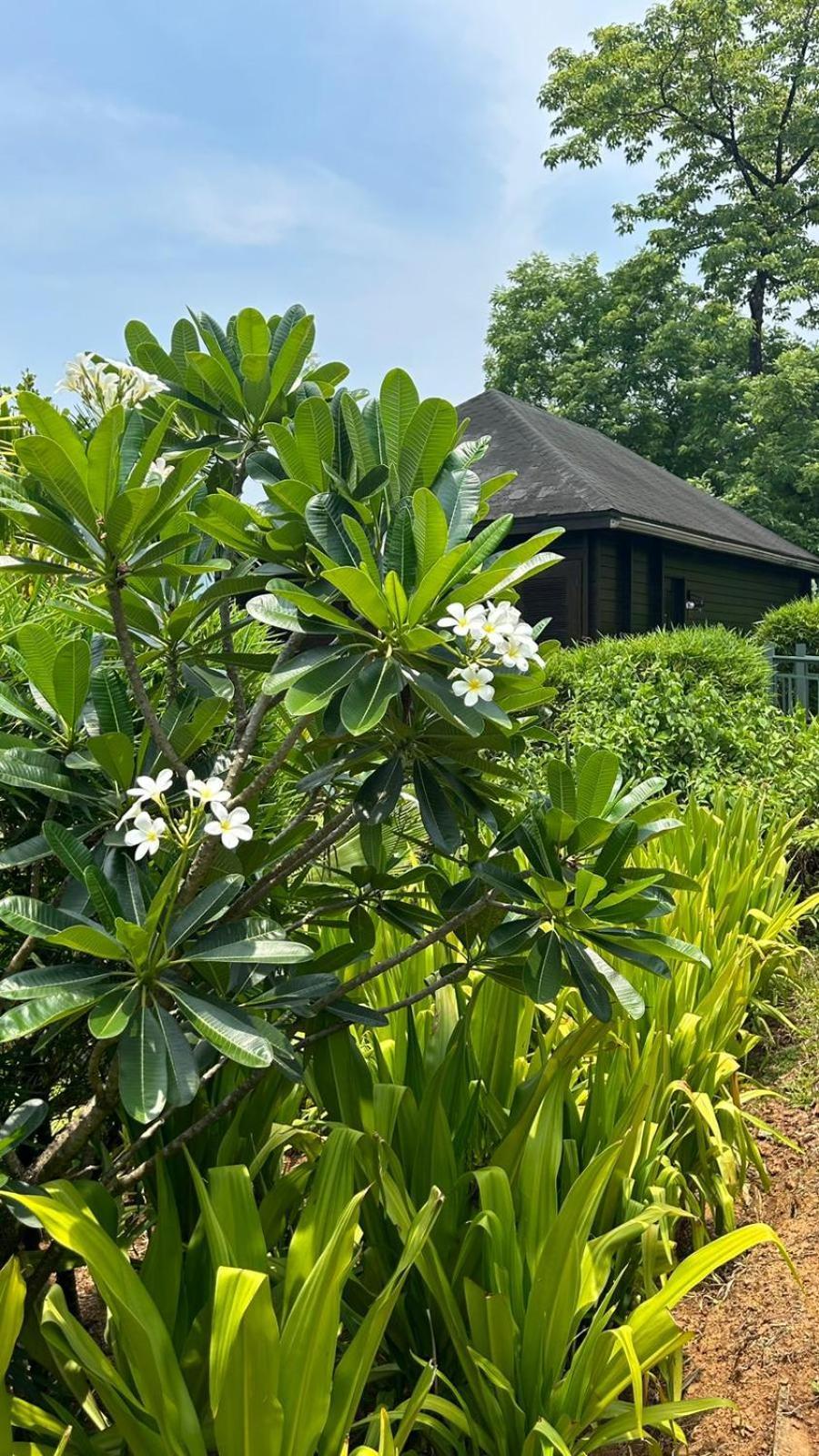 The Postcard Hideaway, Netravali Wildlife Sanctuary, Goa Ξενοδοχείο Vichondrem Εξωτερικό φωτογραφία