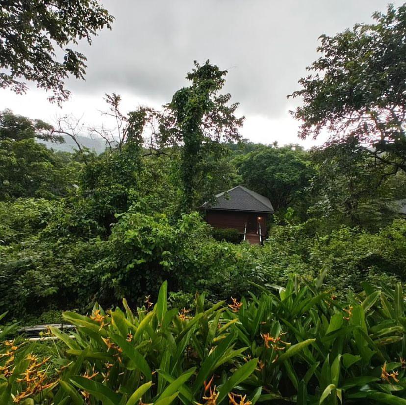 The Postcard Hideaway, Netravali Wildlife Sanctuary, Goa Ξενοδοχείο Vichondrem Εξωτερικό φωτογραφία