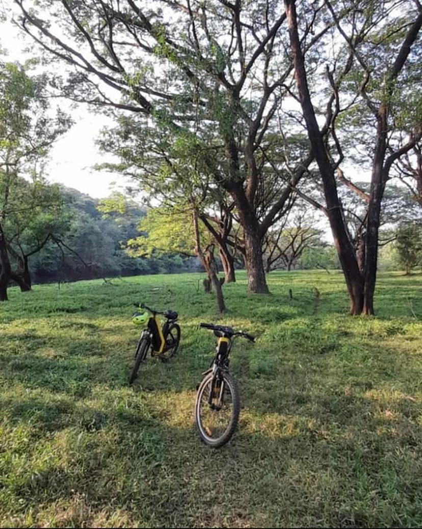 The Postcard Hideaway, Netravali Wildlife Sanctuary, Goa Ξενοδοχείο Vichondrem Εξωτερικό φωτογραφία